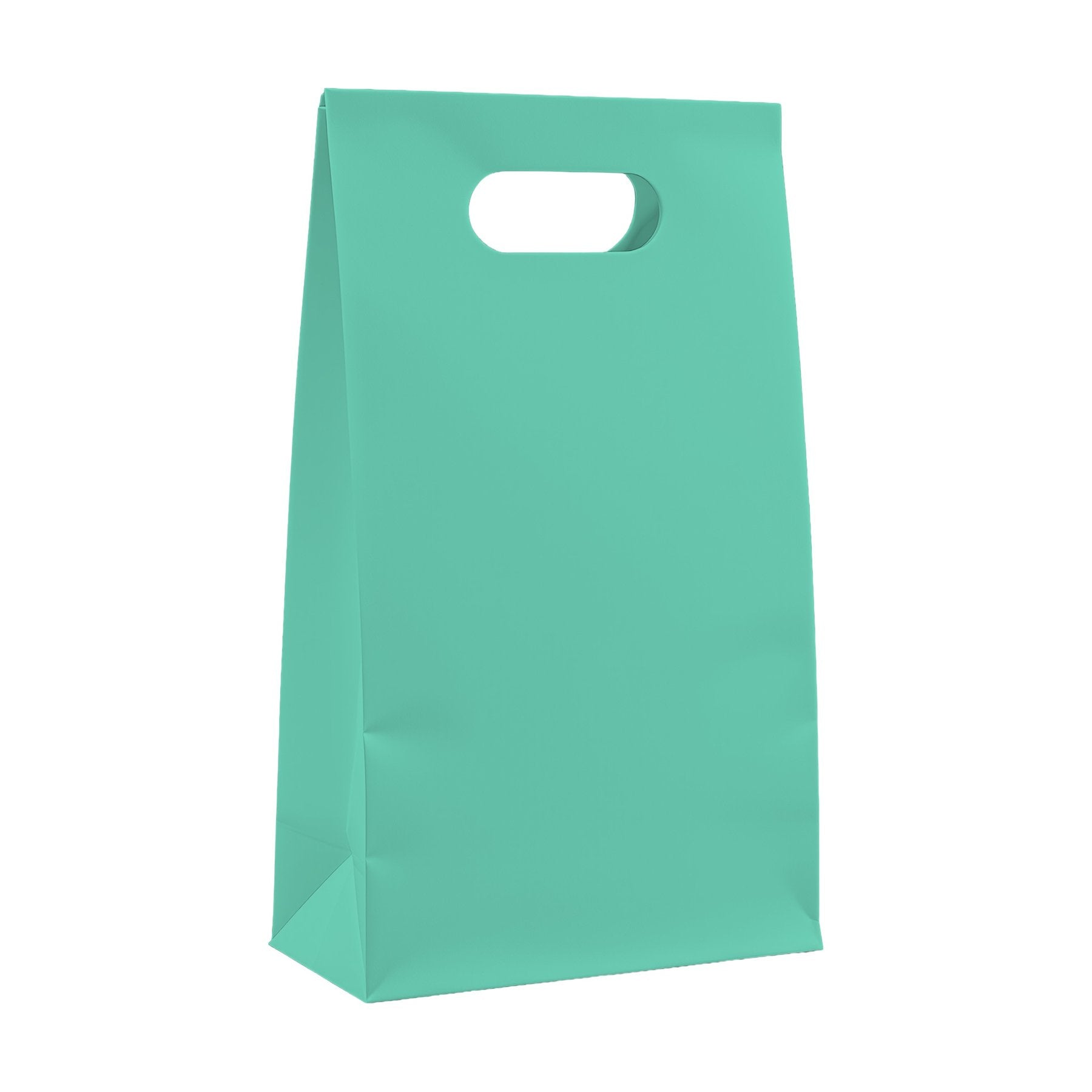 PaperBag Mockup | Seafoam | High-Res Mockup Template | JPG Digital Download | Commercial Licence | MockupBulk