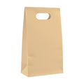 PaperBag Mockup | Sunset | High-Res JPG Template | Instant Digital Download | POD Etsy Shopify | MockupBulk