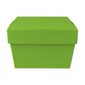 FoodBox Mockup, Kiwi | High Resolution JPG | POD Mockup Template | Commercial Use Download | MockupBulk
