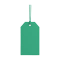 HangTag Mockup | Bright Mint — High-Res Mockup Template | JPG Digital Download | Commercial Licence | MockupBulk