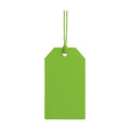HangTag Mockup | Kiwi | POD Print Mockup | Instant JPG Download | Commercial Licence Included | MockupBulk