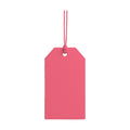 Watermelon HangTag Mockup | Digital JPG Mockup | Commercial Licence | For Etsy Printful Printify | MockupBulk