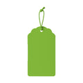 Kiwi HangTag Mockup | High Resolution JPG | POD Mockup Template | Commercial Use Download | MockupBulk