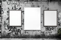 Grunge Frame Mockup | Blank Template #073 | Print-on-Demand Frame Mockup | bulkmockup JPG | Commercial Licence | MockupBulk