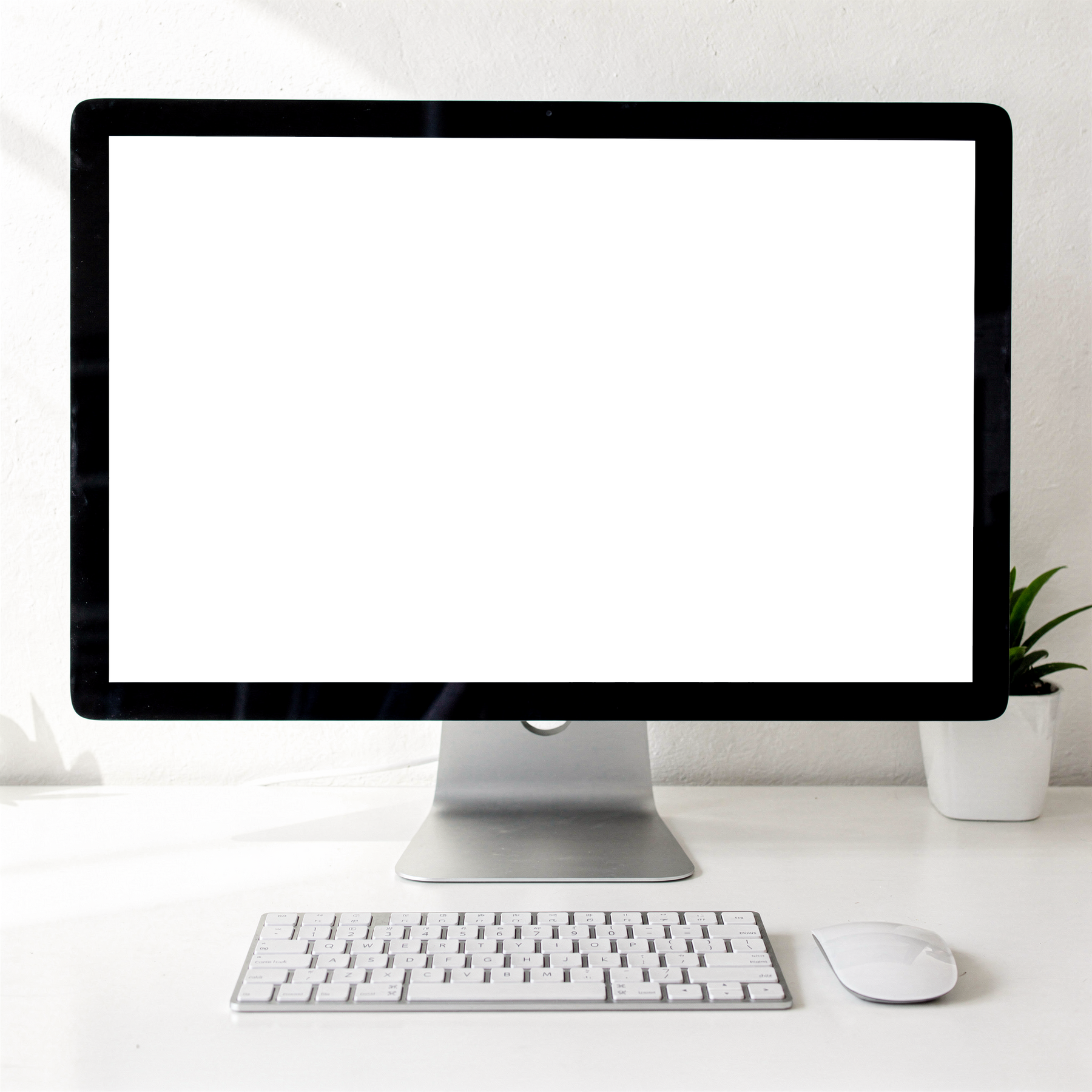 No P Desk Clean Plant Desktop Mockup | High-Res PNG Mockup | bulkmockup | Commercial Licence | MockupBulk