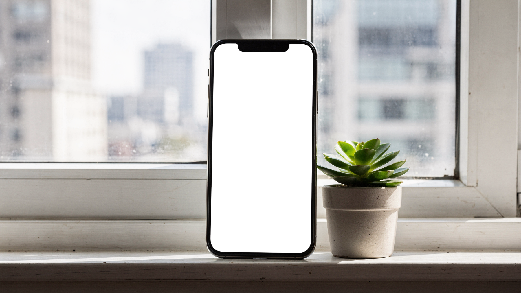 iPhone, No P Windowsill Plant | Instant PNG Download | Transparent Screen | Commercial Use | MockupBulk