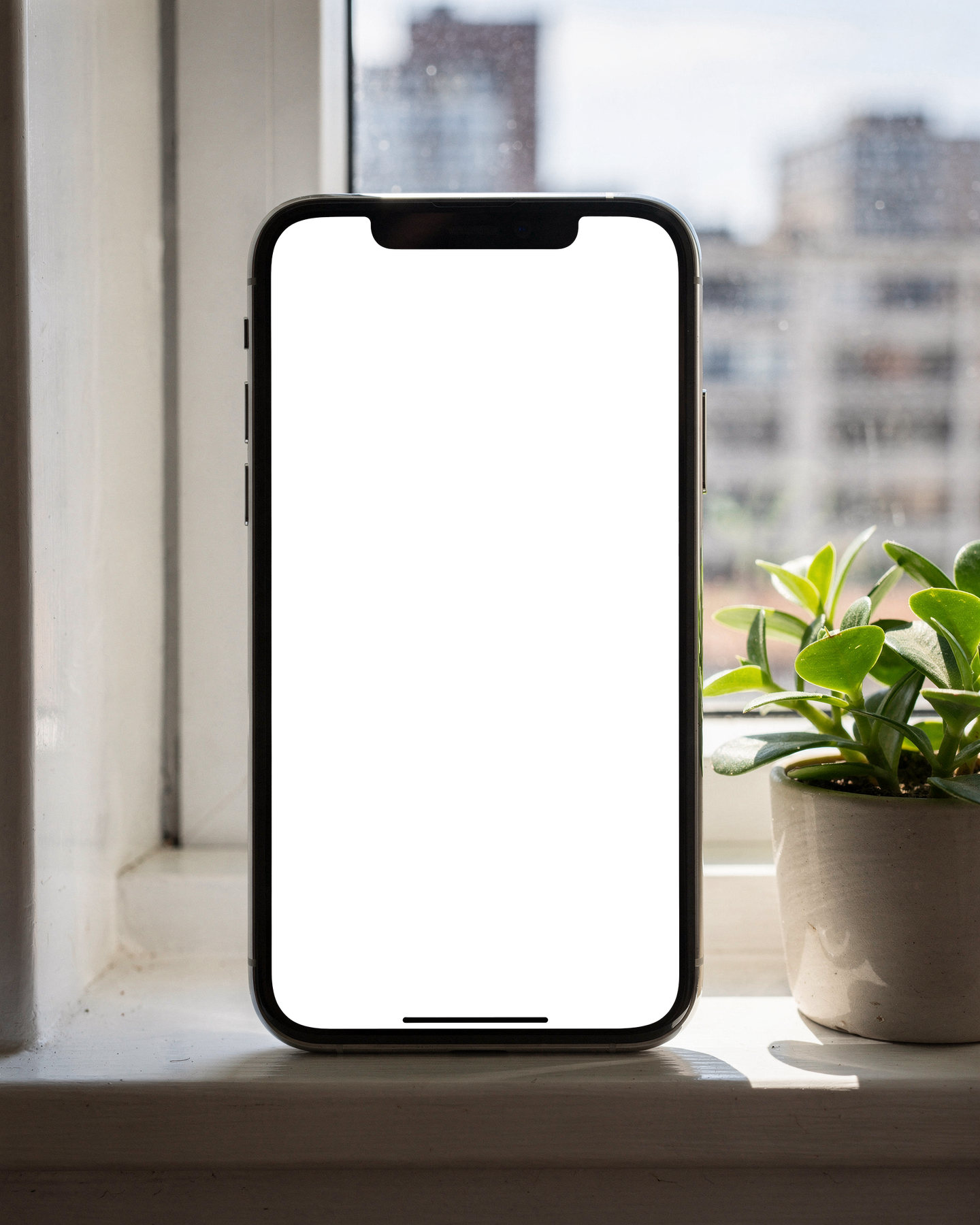 No P Windowsill Plant iPhone Mockup | High-Resolution Transparent PNG | bulkmockup | Commercial Use | MockupBulk